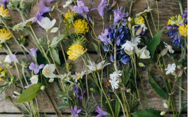 5 Preserved Flowers for Memorable Gifts