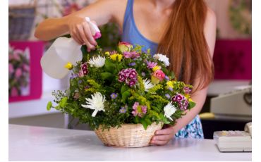 Flower Care 101: Keeping Your Blooms Fresh Longer