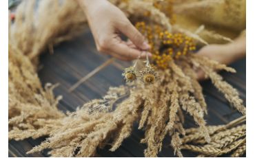 Preserving Petals: How to Dry and Save Your Favorite Flowers